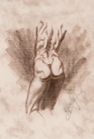 Female Life Study 65
